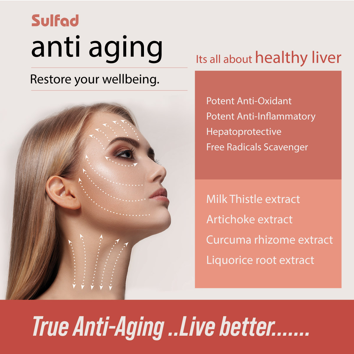 Sulfad Liver Function Support Anti Oxidant Potent Hepatoprotective Anti Inflammatoryempower Metabolic Activity 30 Tab